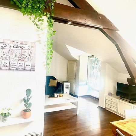 Au Mignonnet Apartment Millau Bagian luar foto