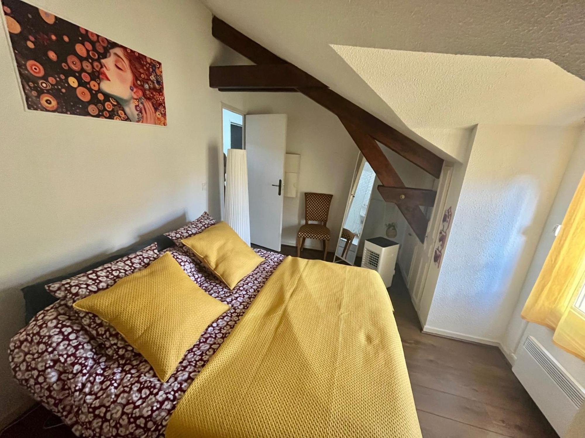 Au Mignonnet Apartment Millau Bagian luar foto