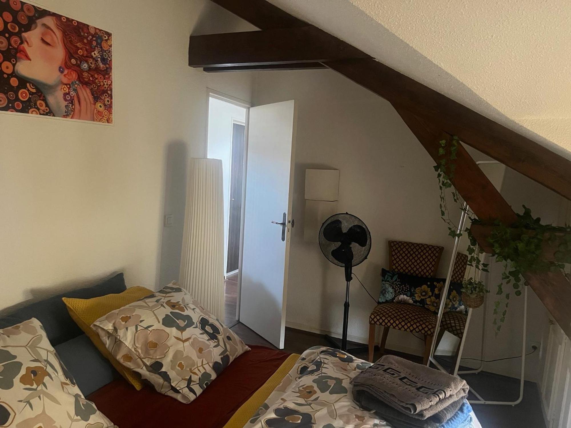 Au Mignonnet Apartment Millau Bagian luar foto