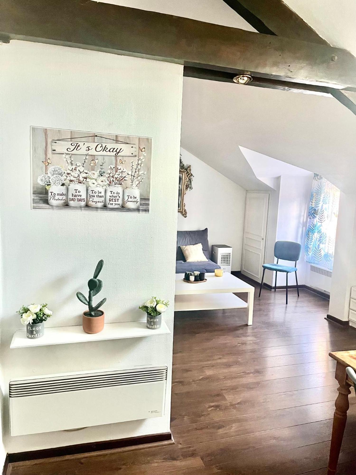 Au Mignonnet Apartment Millau Bagian luar foto