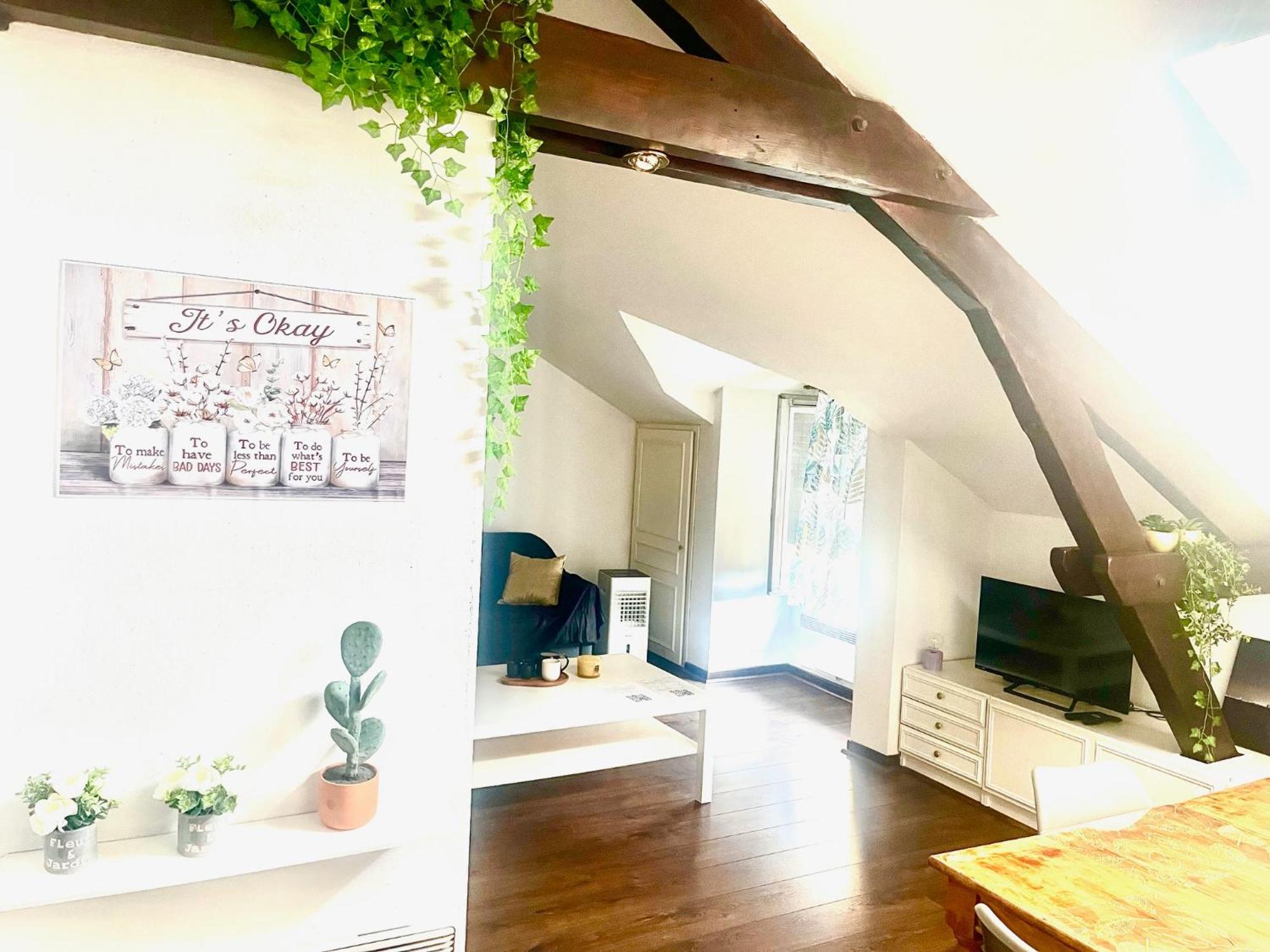 Au Mignonnet Apartment Millau Bagian luar foto